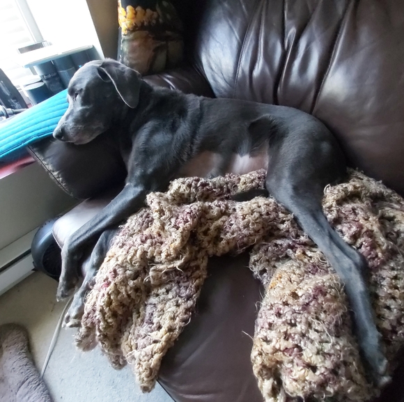 Meet your Posher, Dawn - Picture 9 of 9